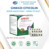 GINKGO CITICOLIN With Coenzym Q10